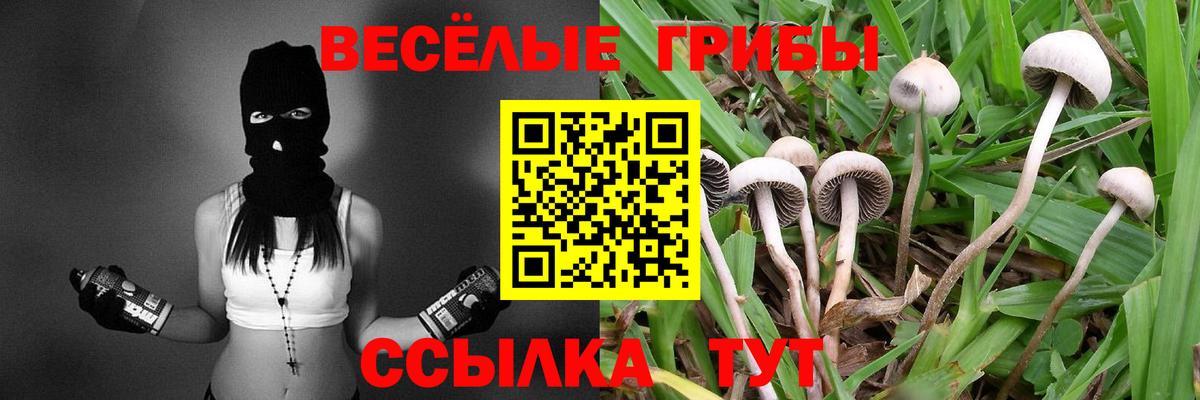 Кимовск  Галлюциногенные грибы мицелий  Вход с VPN 